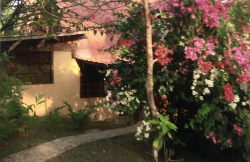 Montezuma House | Beach Front property , with pool. short walking distance from town, lush gardens