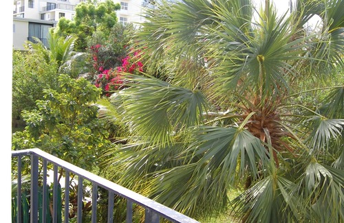 Williams Town Condo | Beach Front Studio For Rent in Freeport Grand Bahamas , Port Lucaya