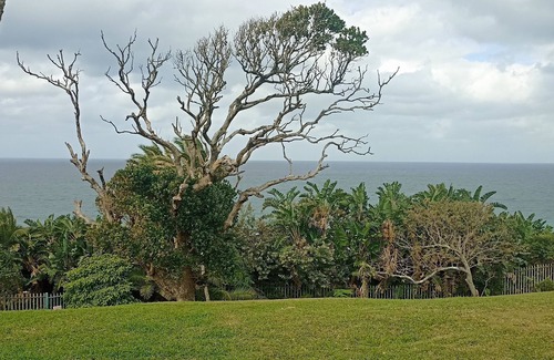 Southbroom House | Beach & Golf Escape, your home from home getaway by the beach and golf course
