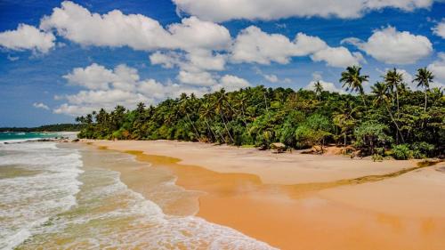 Maaliyadda Apartment | Beach House Kalukatiya - Family Villa, Seaview Room, Garden Room