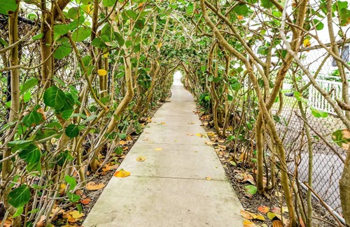 Florida North Atlantic Coast Condo | Beach Island Access | Dog Friendly | Kitchen | Hot Tub
