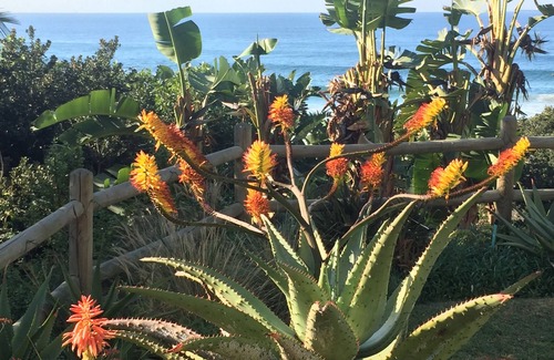 Selection Beach Cottage | Beach Music, Umdloti Beach, sea views. Airport 9.2km. Newly decorated. 5 Star