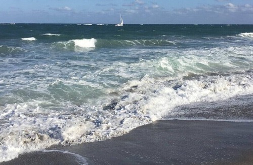 Bella Vista Condo | Beach-Park Paradise - Amazing Location – Park/Beach/Golf/Fishing/Jupiter’s Best!