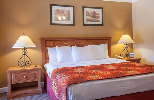 Palm Coast Hotel | Beach Vacation! Three Modish Units, Pool. Near Beverly Beach