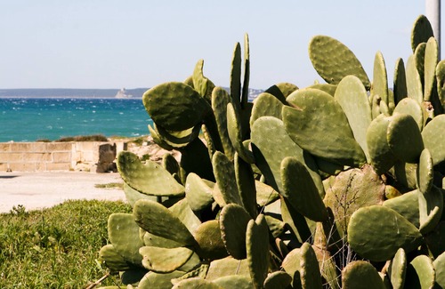 Gallipoli Apartment | Beachfront apartment in Residence Rosa Virginia Pool