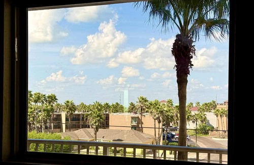 South Padre Island Apartment | Beachfront Expansive Balcony! Seaside Escape DOGS