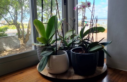 Cape Town House | Beachfront villa, kite/wind surfers paradise on Big Bay Beach, Bloubergstrand