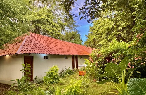 El Gigante Apartment | Beachside Escape in El Gigante | Yoga, Hammocks and Walk to Beach