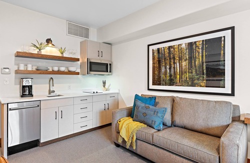 Tamarack Apartment | Bear Den Lodge King Studio Condo - Elegant King Studio | Pet friendly