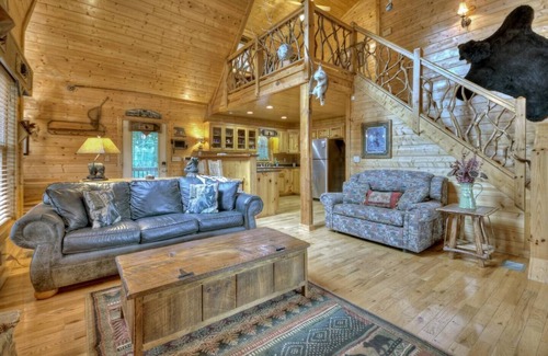 Mineral Bluff Cabin | *Bear-Foot Hideaway* HotTub | Pool Table | Views