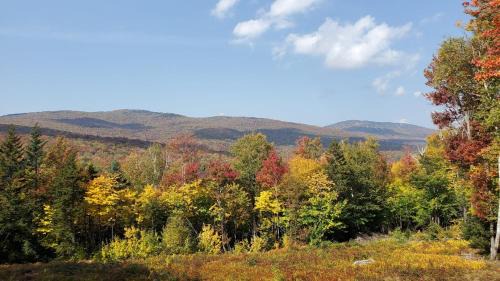 Ludlow House | Bear Hill Cabin cabin
