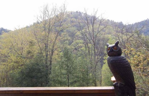 Townsend Cabin | BEARFOOT - Romantic cabin perfect for two!