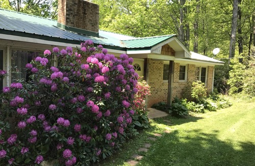 Candler Cottage | Bearidise Hot Tub, Fireplace, Near Asheville, View, Fire Pit, WiFi, Pet Friendly