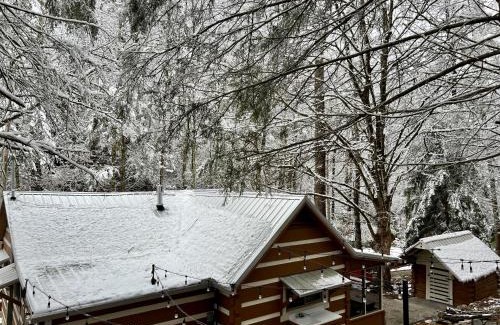 Townsend House | Beary Relaxing Cabin - Rustic with Outdoor Patio