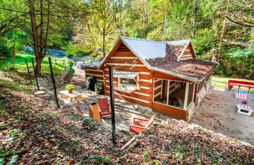 Townsend House | Beary Relaxing Cabin - Rustic with Outdoor Patio