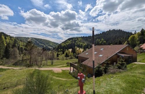 La Bresse House | Beau gîte rénové près de La Bresse-Hohneck avec terrasse et parking - FR-1-589-264