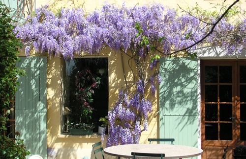 Saint-Quentin-la-Poterie House | BEAUTIFUL MAS EN PROVENCE FOR 12 PEOPLE. PARK, POOL, TO PROVIDE QUALITY