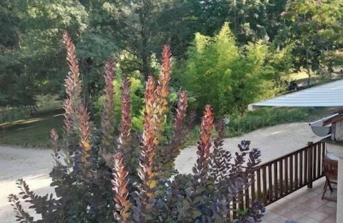 Sainte-Alvere House | Beautiful Perigordian house in tranquil woodland setting.