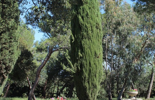 Narbonne House | beautiful 19th century mansion