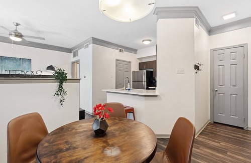 North Burnet Apartment | Beautiful 1BR Next to The Domain 6514