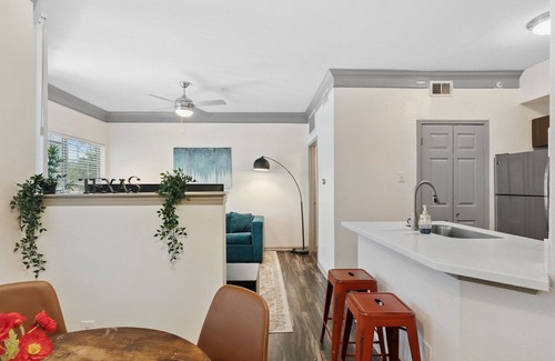 North Burnet Apartment | Beautiful 1BR Next to The Domain 6514