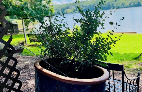 Buchanan Apartment | Beautiful 2-bedroom Garden Apartment, Lake Access, Hot Tub, AC Parking, Buchanan