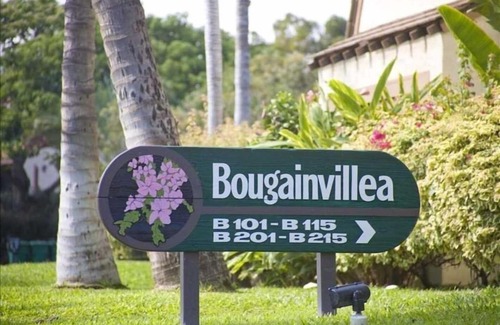 Kihei Apartment | Beautiful 2 Bedroom Oceanview Condo at Maui Kamaole Located at South End of Kihei Adjacent to Wailea Traditional Hawaiian Style