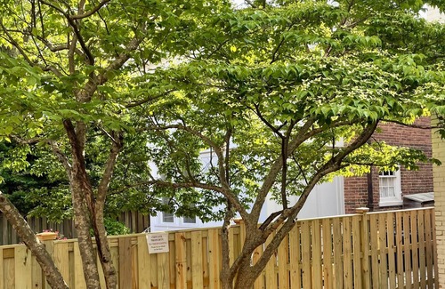 Old Town Alexandria House | Beautiful 2 Bedroom with Loft in Heart of Old Town—sleeps 6