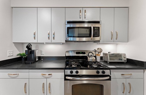 Dorchester Apartment | Beautiful 2BD/2BA in Southend Boston 2336
