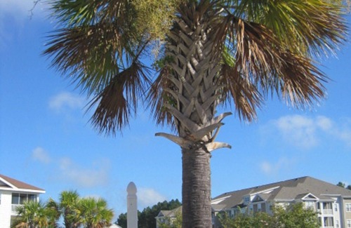 North Myrtle Beach Condo | Beautiful 2BR Condo Barefoot Resort & Golf, Ground Flr, 2 Pools, Close to beach!