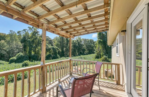 Ranburne House | Beautiful 3-bedroom quiet country house in Ranburne, Alabama