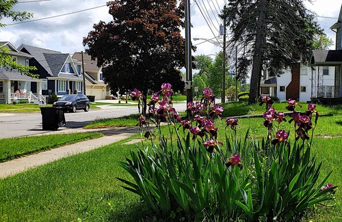 Northeast South Bend House | BEAUTIFUL 3bd 2br /BLOCKS AWAY FROM NOTRE DAME /EDDY ST