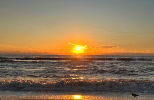 Bonita Bay House | Beautiful 4-bedroom house in exclusive Bonita Bay - 10 mins from the beach!