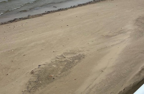 Pigeon House | Beautiful 5-bedroom beach house on North Shore of Sand Point, near Caseville MI