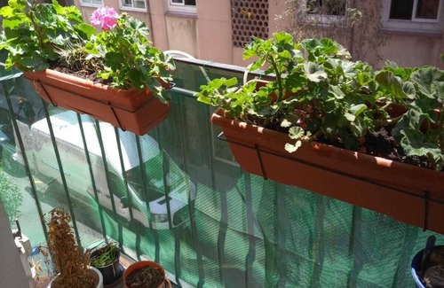 Porta Apartment | Beautiful and central 2 double bedroom flat in Barcelona