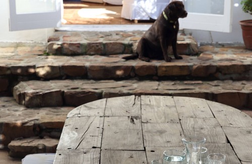 Cape Town City Centre Cottage | Beautiful and tranquil self-catering cottage in the heart of Cape Town