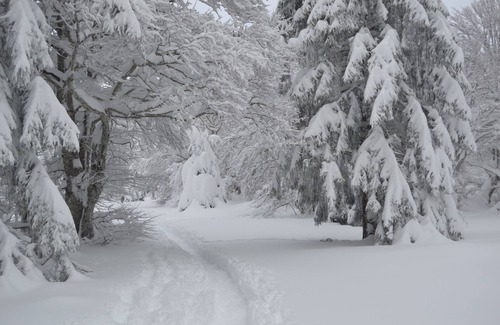 Laguiole Apartment | Beautiful apartment at the foot of the ski slopes