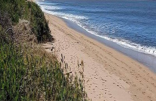 Long Beach Apartment | Beautiful apartment, bush backdrop, kangaroos and a short walk to the beach.