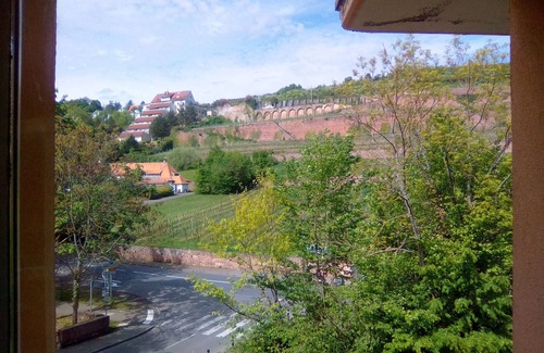 Obernai Apartment | Beautiful * apartment between vineyards and Obernai ramparts