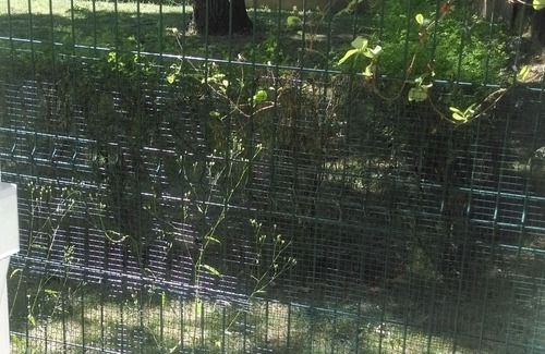 Cathedrale Apartment | beautiful apartment cathedral area