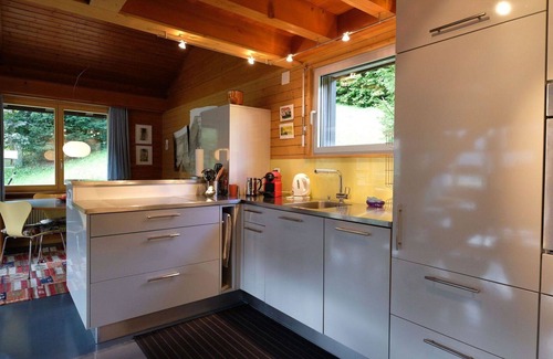 Zweisimmen Apartment | Beautiful apartment for 4 guests with WIFI, balcony and pets allowed