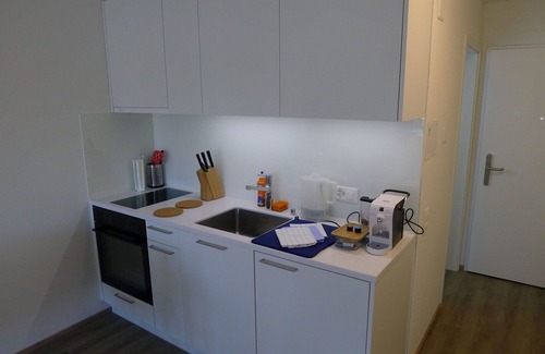 Lucerne Apartment | Beautiful apartment for 4 guests with WIFI, TV and balcony