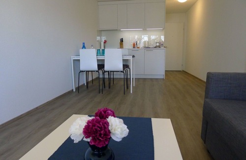 Lucerne Apartment | Beautiful apartment for 4 guests with WIFI, TV and balcony