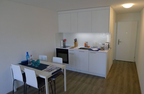 Lucerne Apartment | Beautiful apartment for 4 guests with WIFI, TV and balcony