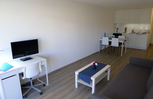 Lucerne Apartment | Beautiful apartment for 4 guests with WIFI, TV and balcony