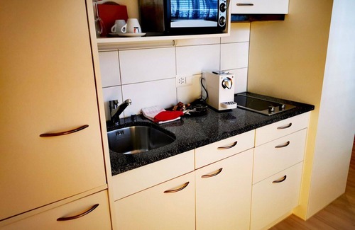Thun Apartment | Beautiful apartment for 2 guests with WIFI, TV, balcony and pets allowed