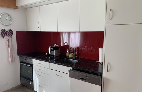 Lenk Apartment | Beautiful apartment for 4 guests