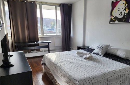 Mile End Apartment | Beautiful apartment in the heart of Montroyal