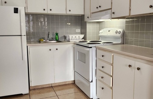 Mile End Apartment | Beautiful apartment in the heart of Montroyal
