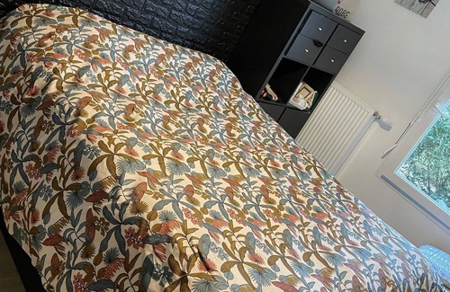 Amphion-les-Bains Apartment | Beautiful apartment near the lake